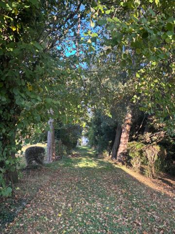 Maison Bois Guillaume - parc de 3300m² - constructible - 5 chambres 2 chambres Rdc - 211 m2 plein centre de Bois Guillaume - proche des écoles et commerces- calme et verdoyant - environnement idéal , havre de paix, à deux minutes de Rouen ,idéale f