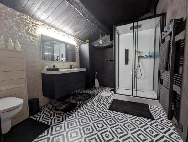 Spacieuse maison esprit Loft en bord de Sèvre