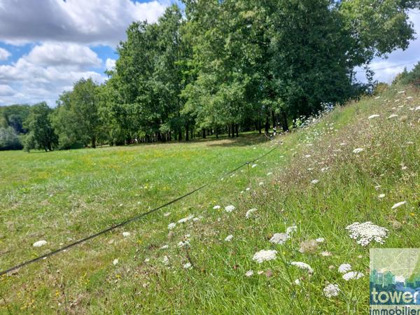 St PArdoux (24) terrain constructible plat quartier résidentiel