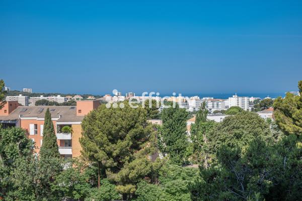 Appartement 3 pièces - 67 m² Exclusivité efficity