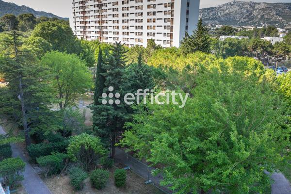 Appartement 3 pièces - 67 m² Exclusivité efficity