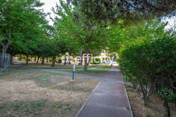 Appartement 3 pièces - 67 m² Exclusivité efficity