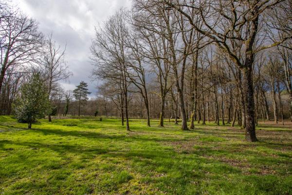 Maison Villefranche Sur Cher 6 pièces 185 m2