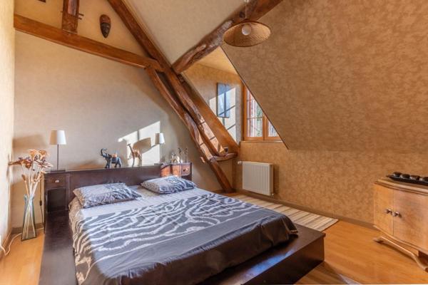 Maison Villefranche Sur Cher 6 pièces 185 m2
