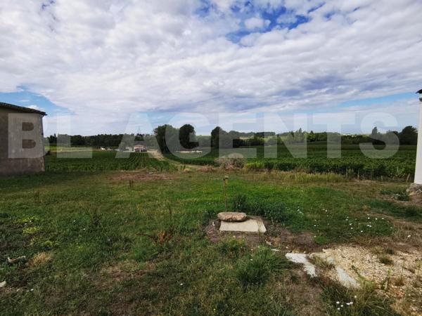 PROPRIETE VITICOLE BATIMENTS + VIGNES + BOIS A LUSSAC