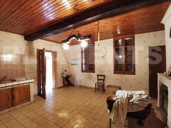 PROPRIETE VITICOLE BATIMENTS + VIGNES + BOIS A LUSSAC