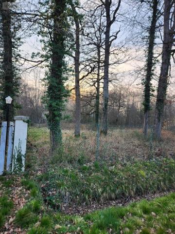 Terrain à Batir à vendre à La Selle-en-Hermoy dans le Loiret (45210), ref : 45049-98