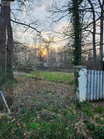 Terrain à Batir à vendre à La Selle-en-Hermoy dans le Loiret (45210), ref : 45049-98