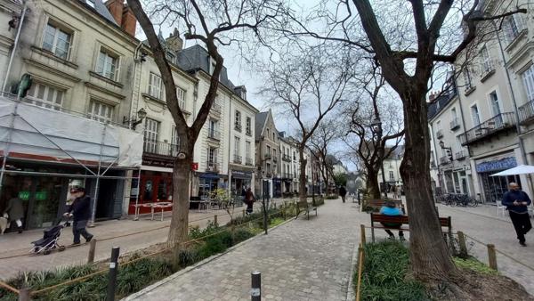 Appartement à vendre à Tours dans l'Indre-et-Loire (37000), ref : 37009/733   
TOURS Centre