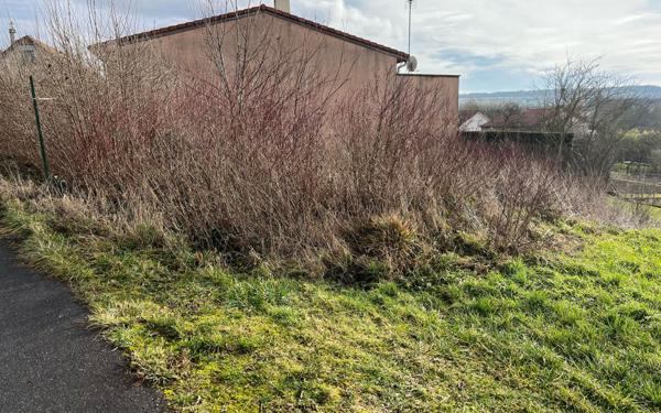 Terrain à vendre    Verdun