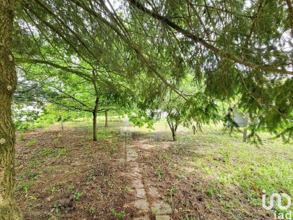 Maison 4 pièces de 83 m² à Saint-Jean-de-Braye (45800)