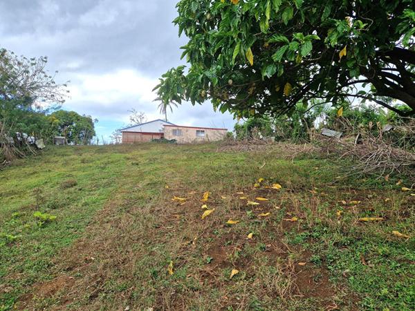 Terrain Le Lamentin 4459 m2