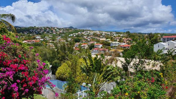 Terrain Le Lamentin 4459 m2