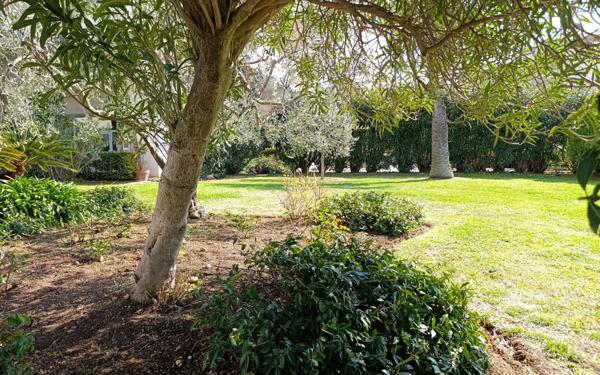 Appartement à vendre    3 pièces •  Antibes