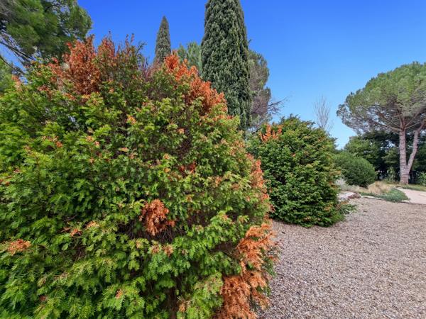 Cazouls-lès-Béziers (34370) Cazouls-les-Béziers, superbe terrain constructible viabilisé de 635 m2