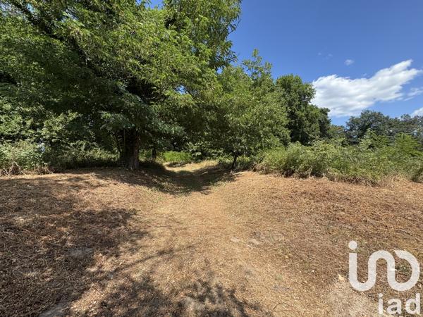 Maison à vendre 1 pièce 200 m² Mont-de-Marsan