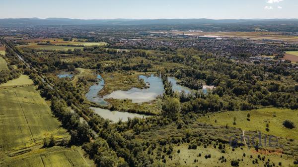 Rosenau – T2 avec terrasse, jardin, garage et parking – À deux pas de la Suisse