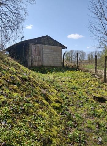 29 000 € FAI – Maison + 4500 m² de terrain à deux pas de l’Abbaye de Pontigny (89) – Opportunité rare !