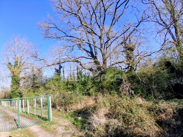 29 000 € FAI – Maison + 4500 m² de terrain à deux pas de l’Abbaye de Pontigny (89) – Opportunité rare !