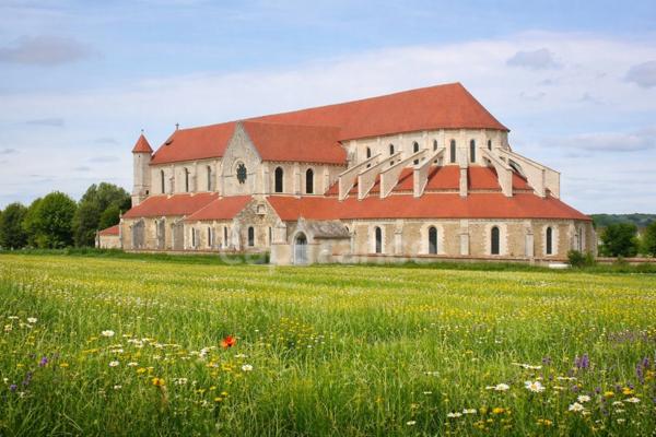 29 000 € FAI – Maison + 4500 m² de terrain à deux pas de l’Abbaye de Pontigny (89) – Opportunité rare !