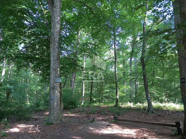 Appartement Fontainebleau 1 pièce meublé 21.62 m2