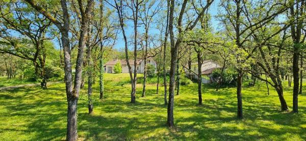 Propriété - 8 chambres - Écrin de verdure - Lot 46