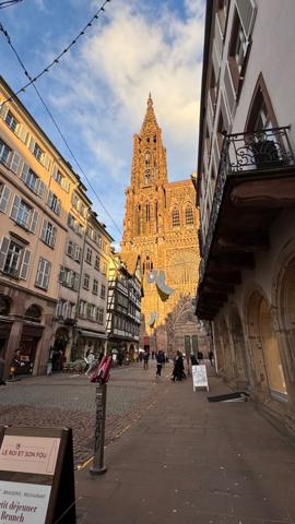 Exclusivité ORIGAMI - STRASBOURG CATHEDRALE