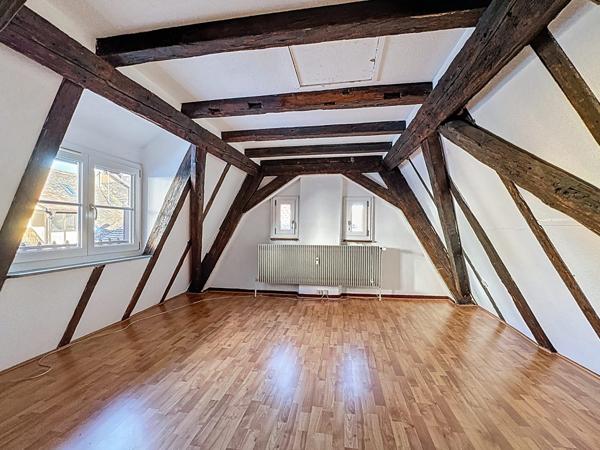 Exclusivité ORIGAMI - STRASBOURG CATHEDRALE