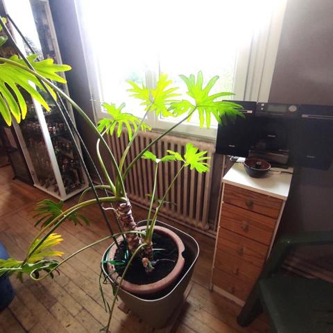 Maison Baud avec de l'espace