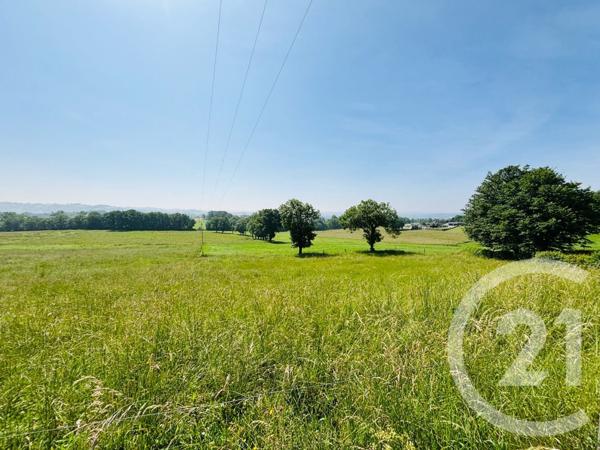 Terrain à vendre  2955 m2 CRANDELLES - 15