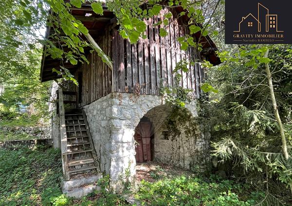 Maison  en vente - Haute-Savoie - 74