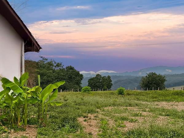 Maison d'architecte 307 M2, TERRAIN 6000 M2