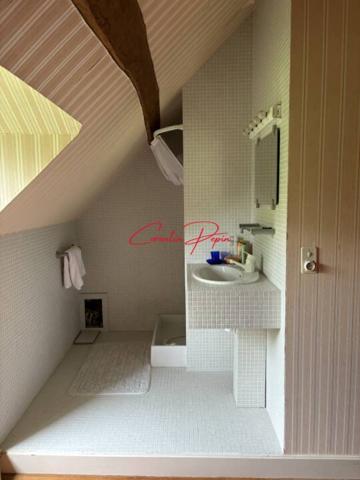 Maison à vendre 10 pièces de 207 m²