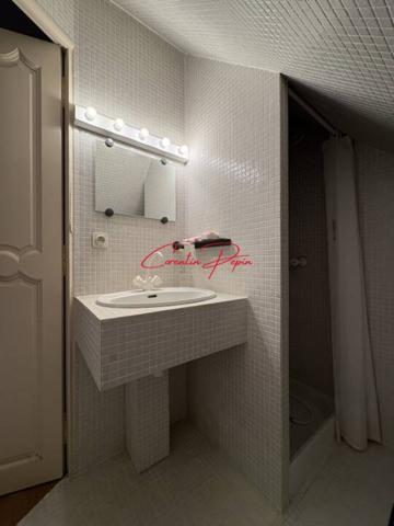 Maison à vendre 10 pièces de 207 m²