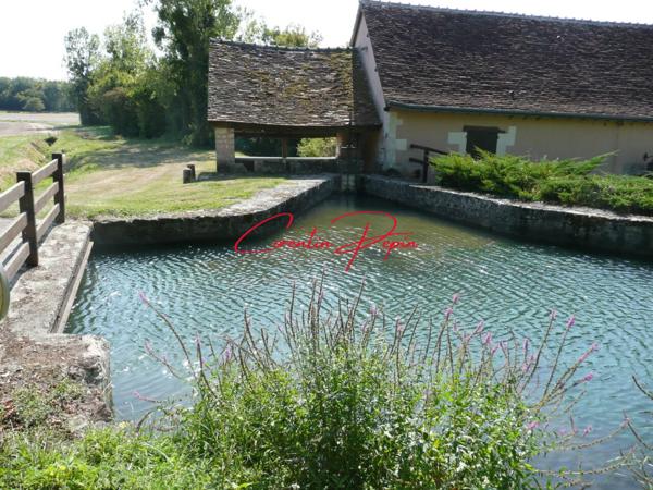 Maison à vendre 10 pièces de 207 m²