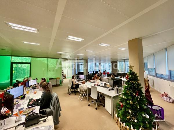 Bureaux à louer/à vendre au coeur du quartier d'affaires Euralille - Espaces modernes et modulables