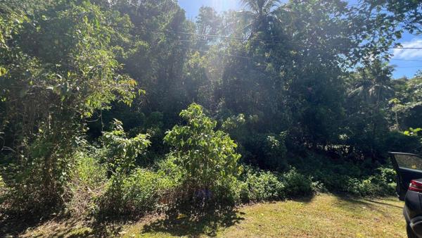 Gosier - Terrain - Quartier calme