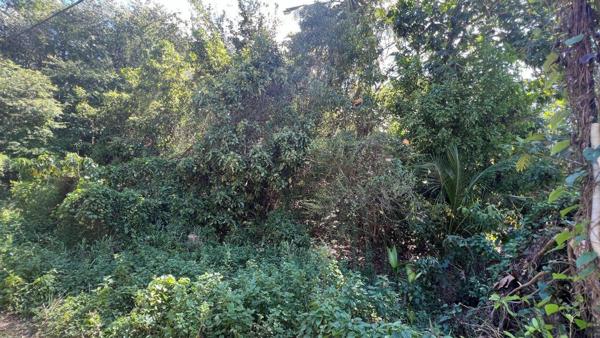 Gosier - Terrain - Quartier calme