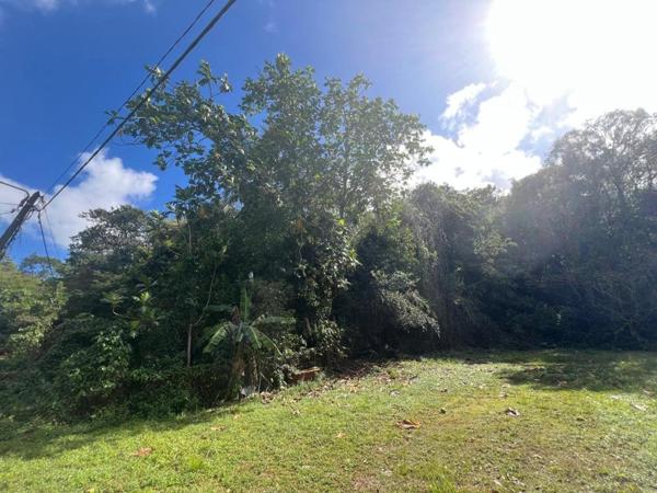 Gosier - Terrain - Quartier calme