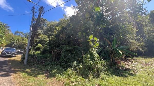 Gosier - Terrain - Quartier calme