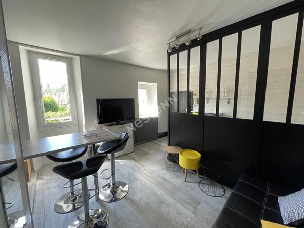 A LOUER AGRÉABLE APPARTEMENT MEUBLÉ POITIERS QUARTIER MUSÉE SAINTE CROIX