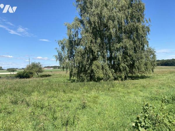 45200 AMILLY TERRAIN A BATIR DE 1 612 M² 