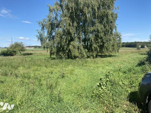 45200 AMILLY TERRAIN A BATIR DE 1 612 M² 