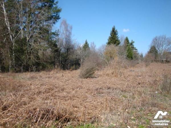 A proximité de MAURIAC (Cantal), parcelle de terrain à bâtir de 2.020m² environ.