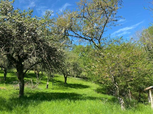 Maison de maître à vendre à Bassignac dans le Cantal (15240), ref : 15060/1208