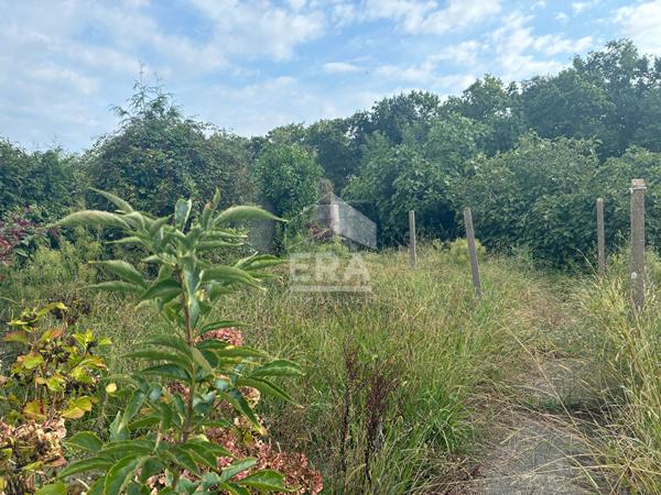 Vente - Terrain plat Tarnos