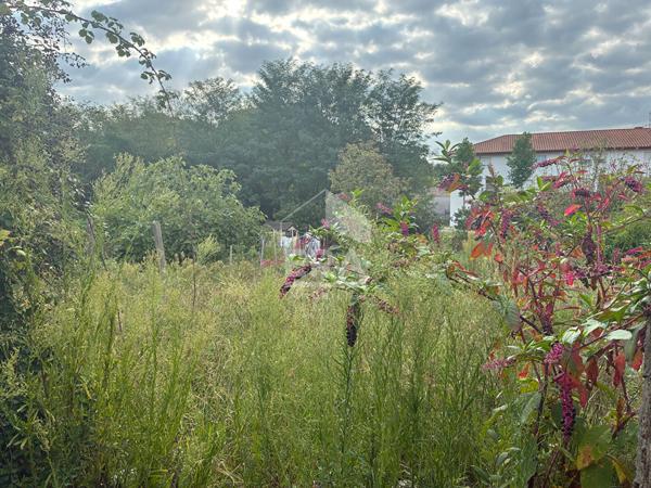 Vente - Terrain plat Tarnos