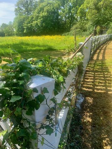 Manoir 15ème sur une parcelle de 4,6ha