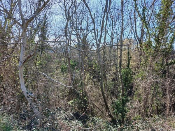 Superbe maison avec vue exceptionnelle à Vic le comte (63)