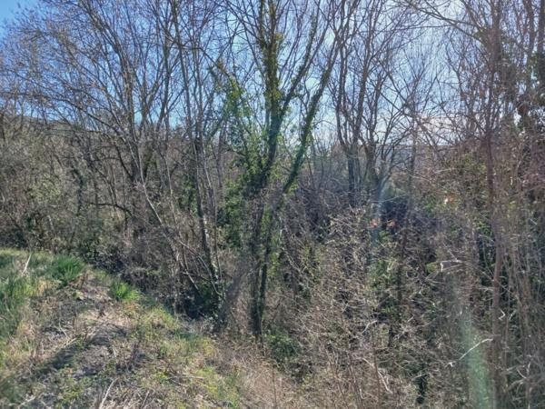 Superbe maison avec vue exceptionnelle à Vic le comte (63)